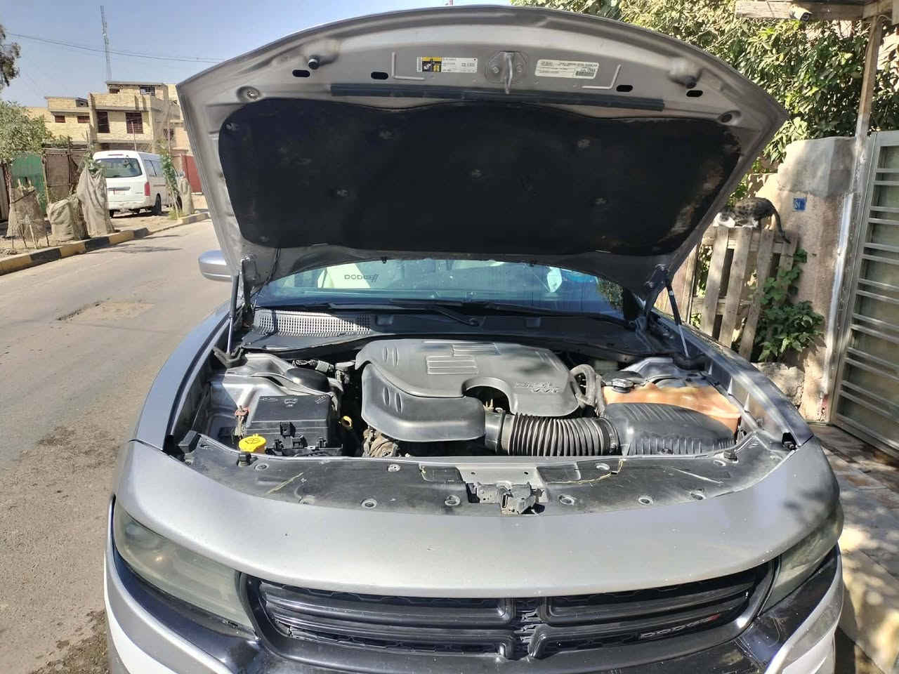 سلام وعليكم
سعر اتصل أو خاص 
وارد كندي 
سونار موجود 
جارجر موديل 15 بغداد بسمي 
مكينه 3600
تو ويل 
حادث جاملغ ونص البنيد واني صابغ باب الصدر اثر شخوط
سيار جاهزه كل نقص مابيهه 
كير مكينه اكسل كله بشرط 
تخم تاير خلفي جديد امامي نضيف نص عمر 
باتري جديد 
ادامه كامله 
مكاني بغداد 
داخل جلد أبيض 
لتواصل ***********
ترهم مراوس حسب القناعه/ اقل من سعرهه

