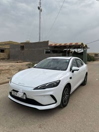 بي واي دي سيل • ٢٠٢٥ • ٣٦٨٠٠ كم