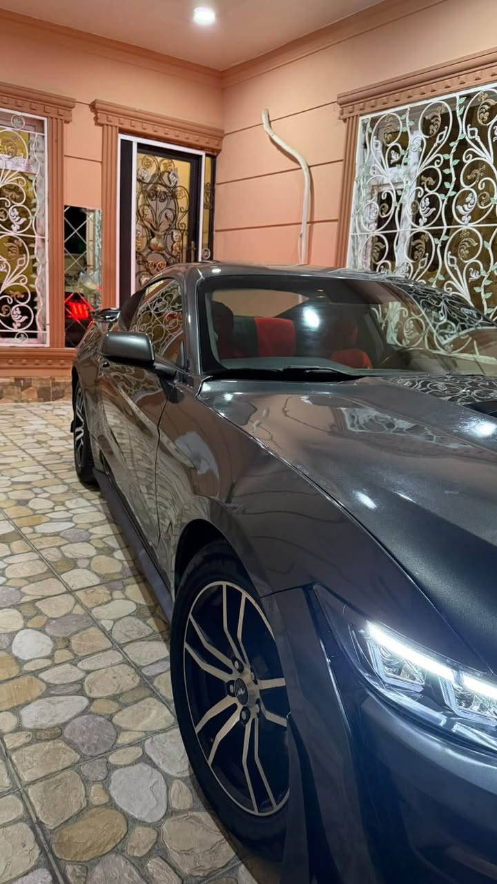 Mostang 2016 v6 
5 parchay boyaxa be saqf w ba saqfw hizam ayfroshm wargaraw nya ba shart gerw makina bashart tahwil bashart shansi bashart sayaraki jwan w xawena kaml krawata shelby 
Wakalay banawi xomana tahwil w xarama ba shart 
Nrxi 111 mhamalayaki brayana 
*********** watsup lasara أربيل, العراق
