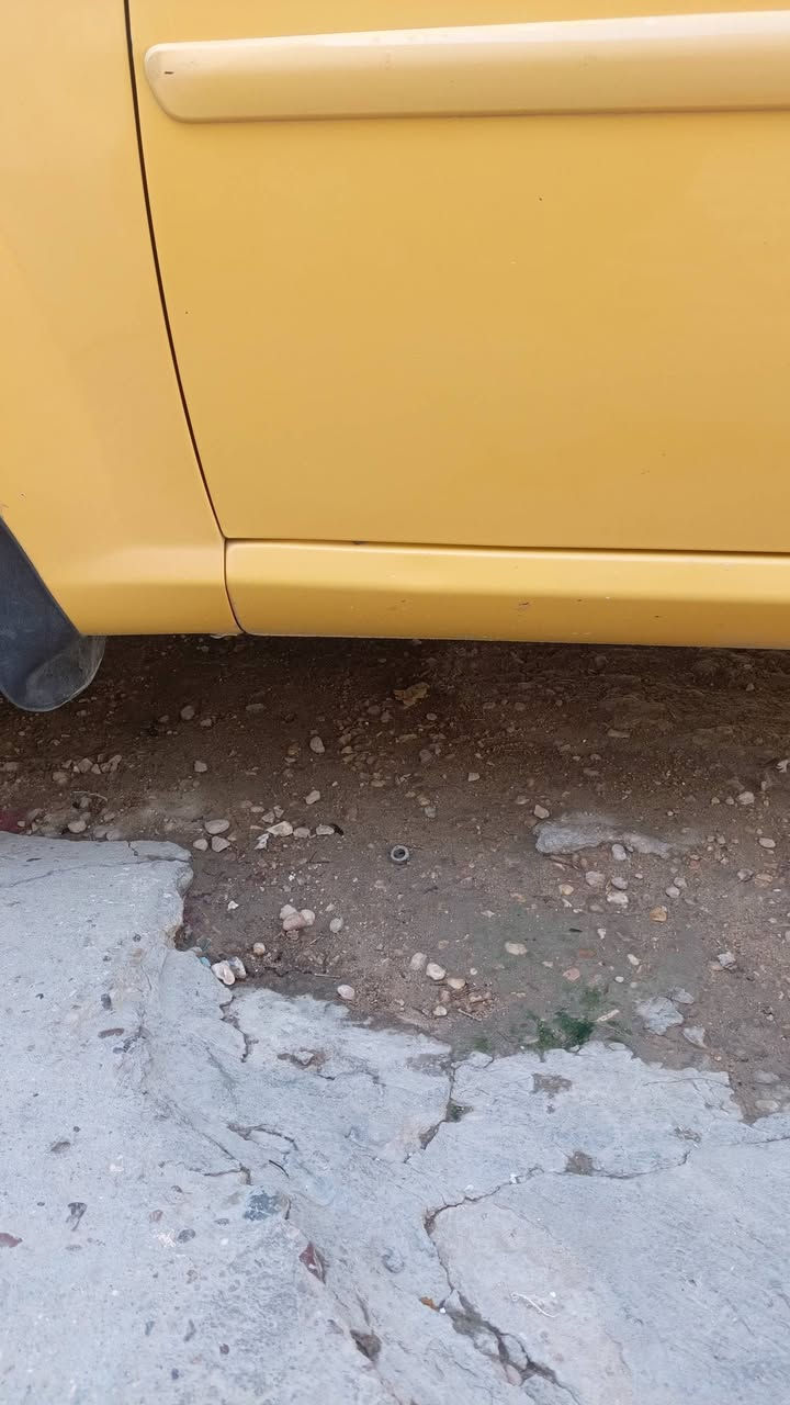 اوبترا ٢٠١١ • رقم بابل • مكفولة