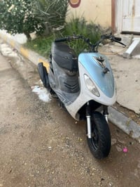 ماكس منغولي • بوشه ٥٥ • نضيفه