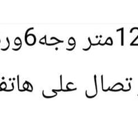 حي رامل • ١٢٥م • واجهة ٦ وربع