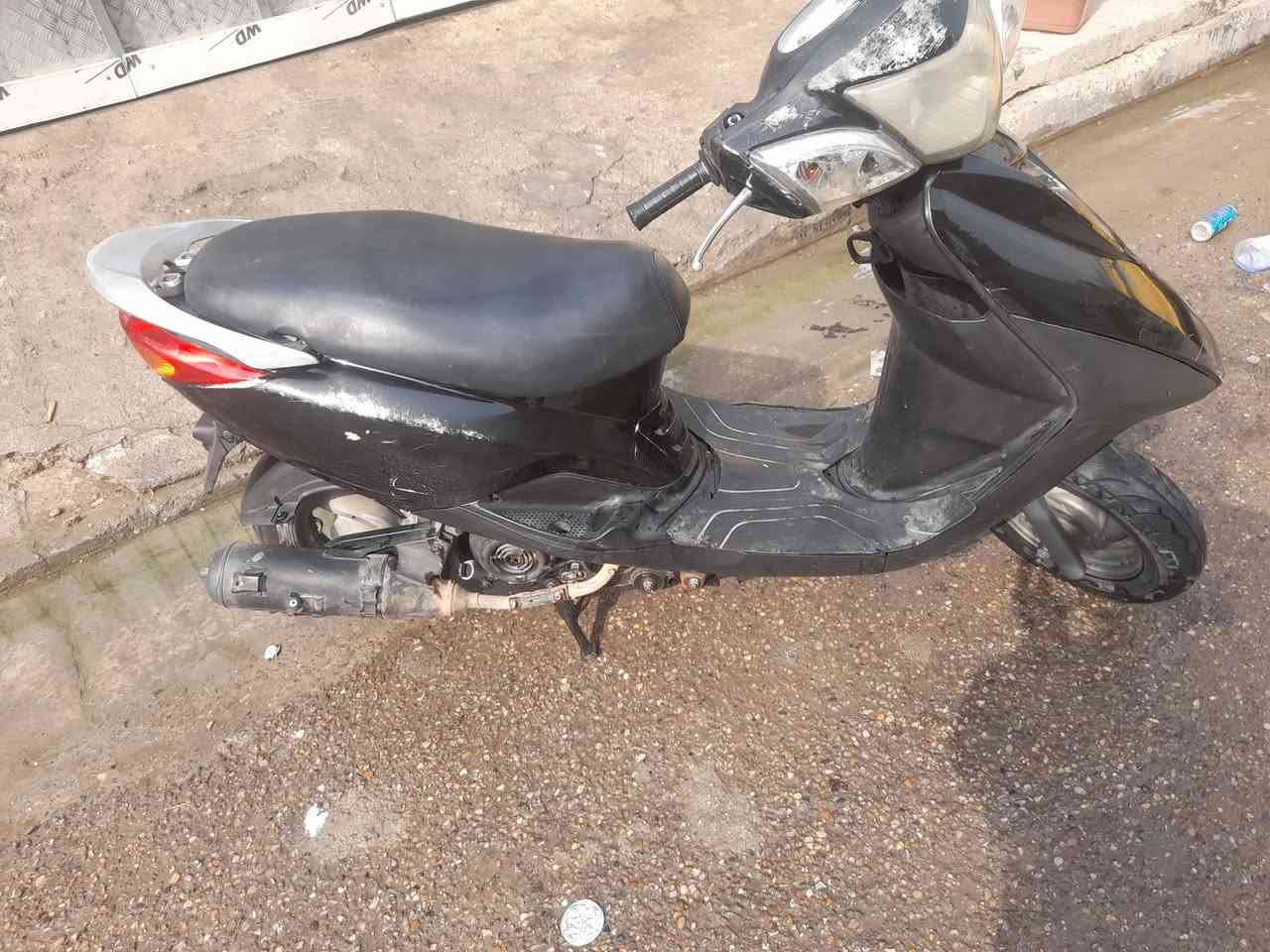 بريز • ببغاء نوزل • البلديات