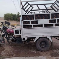 ستوته ام طير • ٢٠١٨ • جاهزه