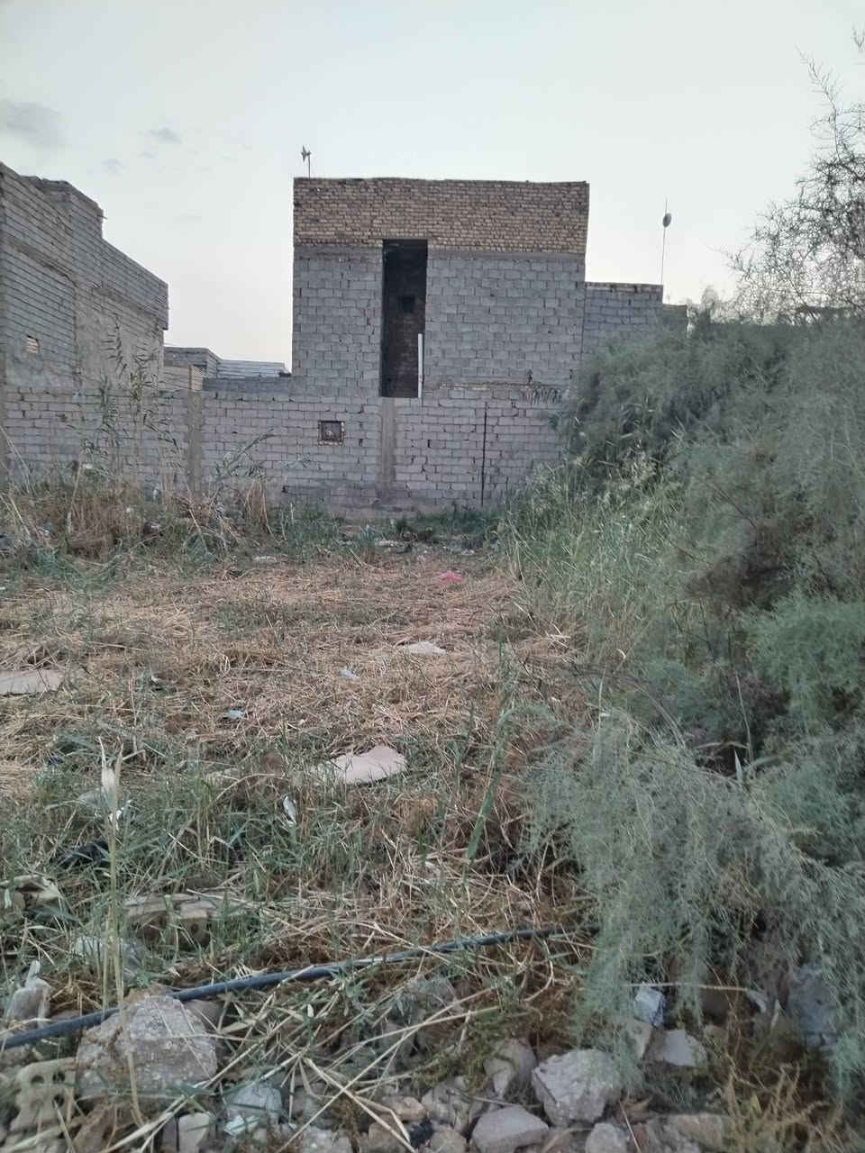 سند ٢٥ • ١٩٠م • قطعتين