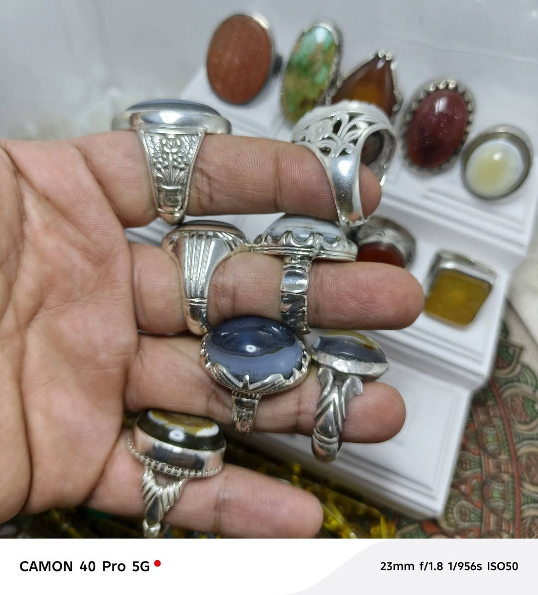 محابس للبيع شلعه وحده عدد ١٥ محبس
السعر والتفاصيل خاص واتساب ‭***********‬

