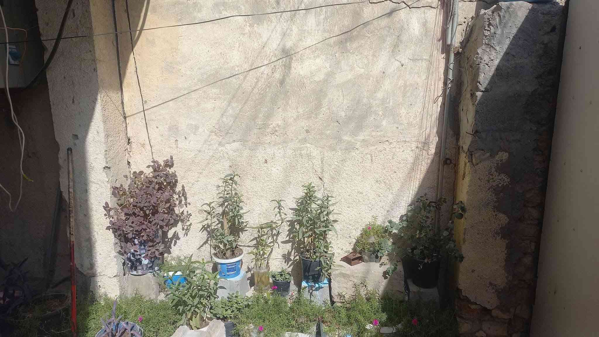 طابو صرف • الزعفرانية • ١٤٤م