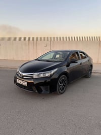 بيكاشو • ٢٠١٤ • أربيل