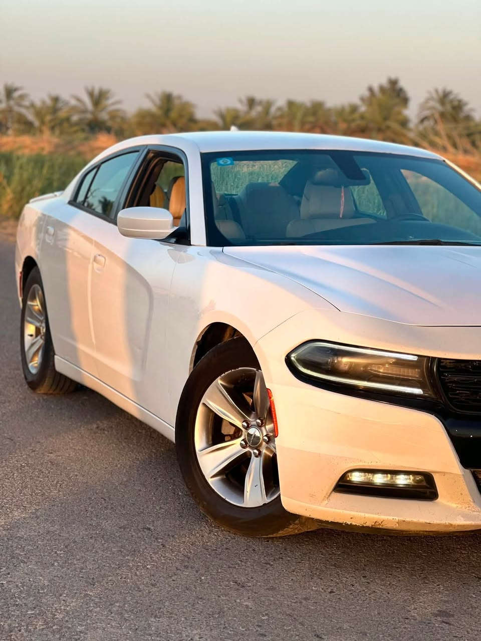 🚗 للبيع دودج جارجر 🚗

السيارة بحالة ممتازة، استخدام شخصي ونظيفة جداً، لا تحتاج أي مصروف.

الموديل: (2015)

الفئة: (SXT  )

المحرك: (3.6 )

رقم بغداد 

اللون: (ابيض )

وارد: (أمريكي )

بيها بارد شي قليل 

الكير والمكينة: فول، بدون أي ملاحظات.

التبريد ممتاز وجميع الأمور شغالة 100%.

*ملاحضه يوجد تقشير صبغ في البنيد شي بسيط اثر الغسل مغلف فابلون 

السعر: (185) قابل للتفاوض بالمعقول بعد المعاينة.

للاستفسار   الاتصال.***********_ *********** 

العنوان ديالى الخالص
