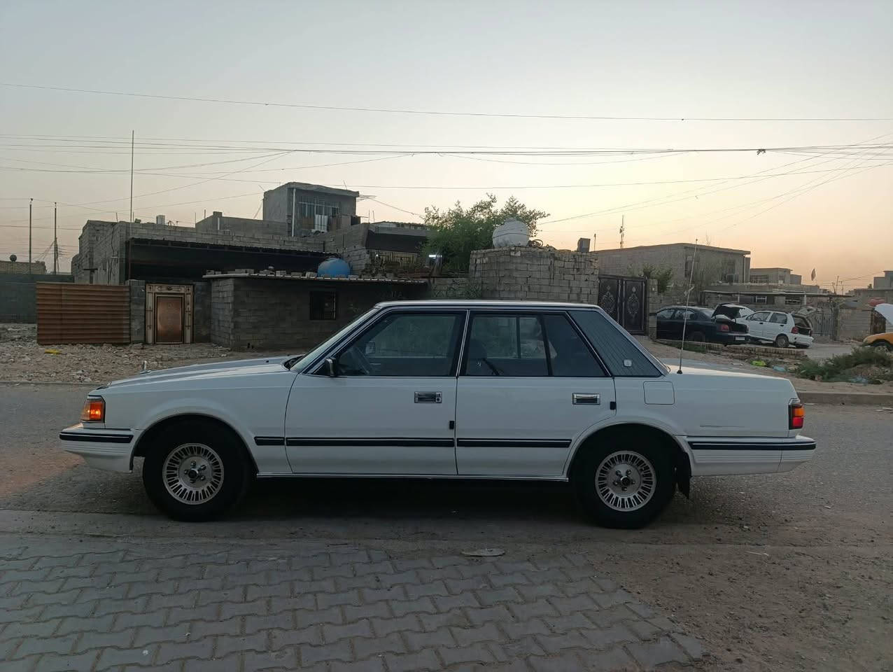 سوبر كراون • وضع الشركة • رقم نينوى