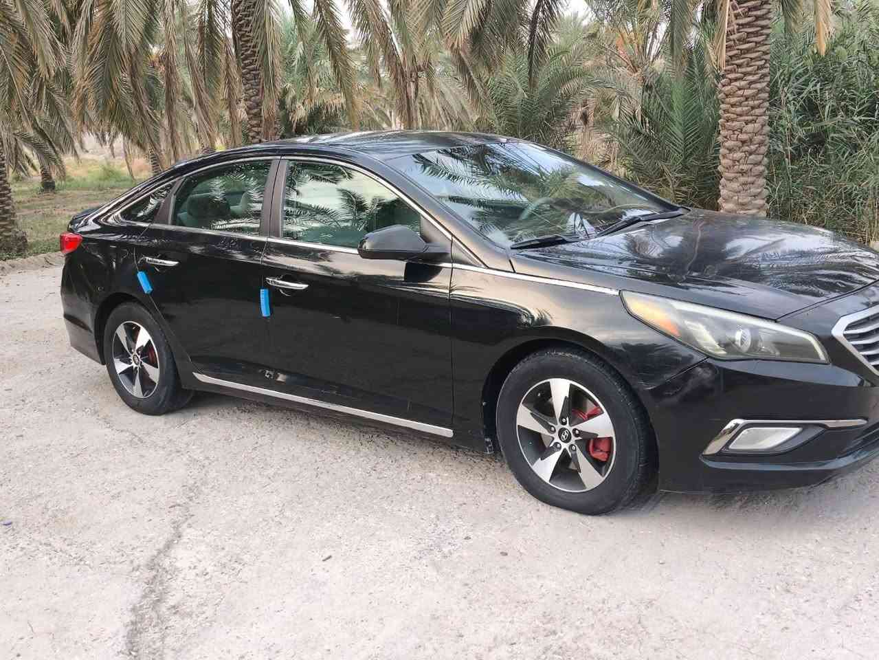 سوناته • ٢٠١٥ • رقم كربلاء