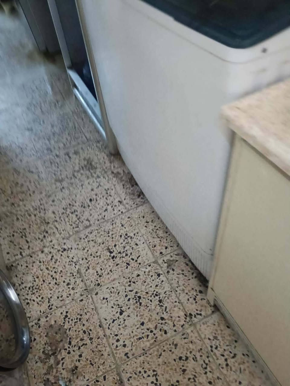 البيت 100 متر طابو صرف واجهة 5 ونزال20 خلف جامع الشروفي 3 طوابق الأرضي ستقبال 7*4 وحولي 5 *4 وغرفة 3*4 وترك وصحيات ومطبخ 
الطابق الثاني غرفتين نوم+غرفة سندويج 6* 4 وخدمات ومطبخ 
طابق الثالث غرفتين نوم نضام سويت هم سندويج السعر 165 مليون وبي مجال يرهم مراوس بيت مساحة أكبر
العنوان بغداد الشعب وره جامع الشروفي
***********
