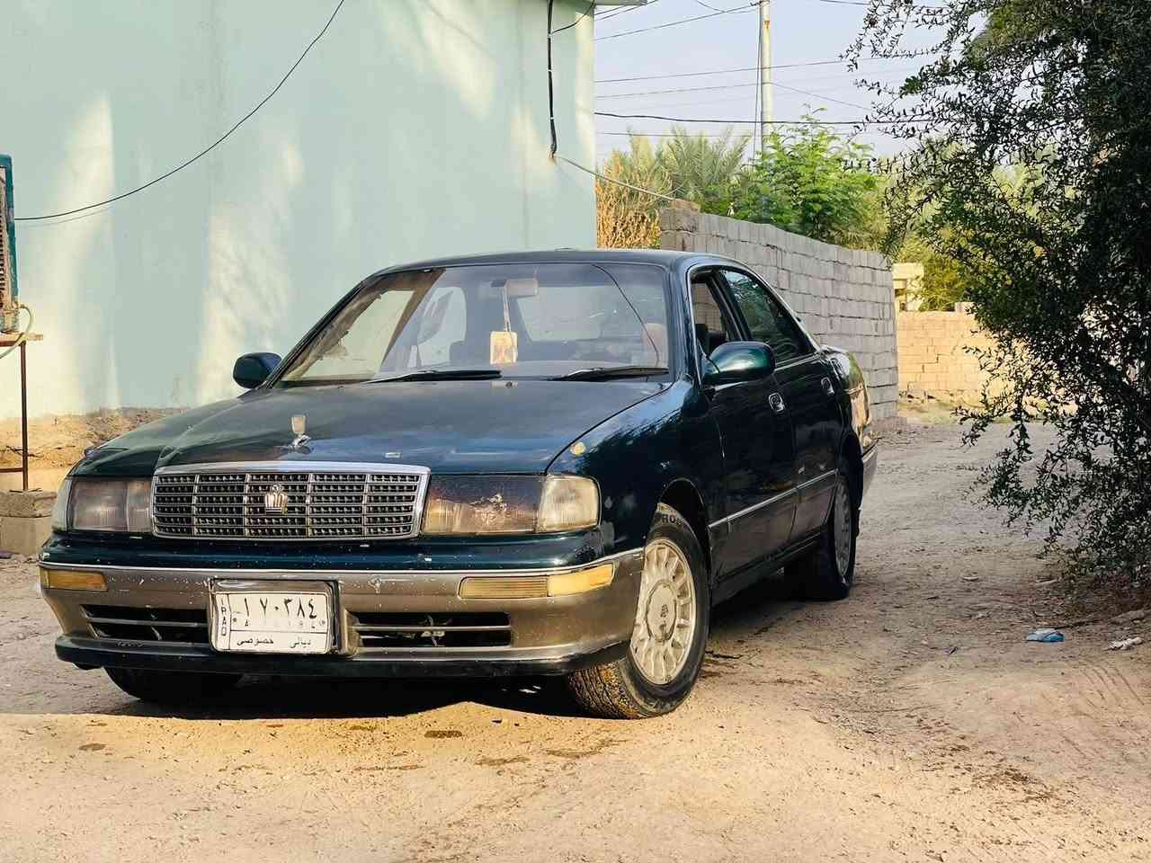 بطة • الأسود مراوس • حديثة