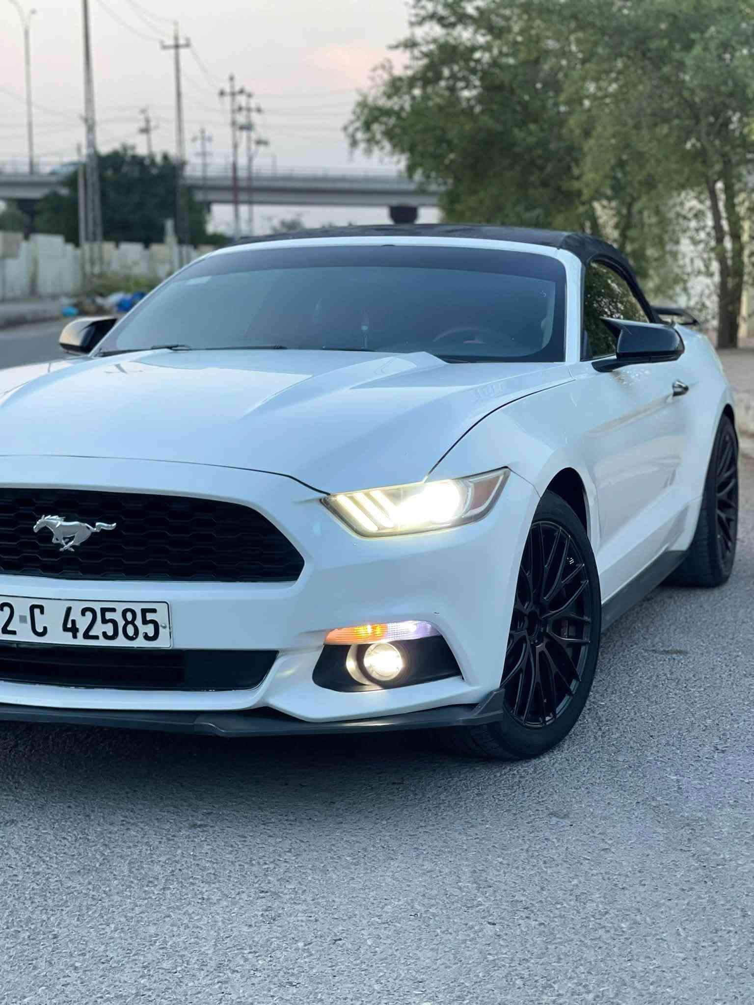 موستانغ • ٢٠١٥ • رقم اربيل