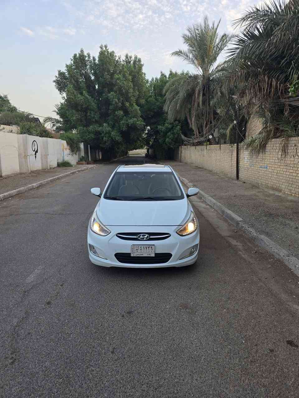 أكسنت • ٢٠١٥ • وارد خليجي