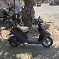 بطه • خطين • ٦٠