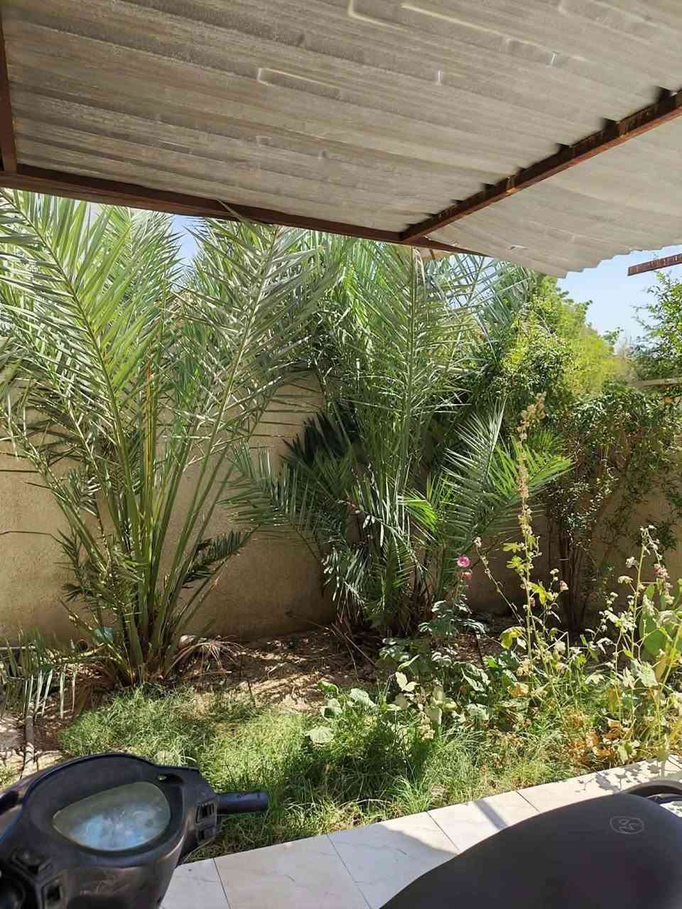 بيت زراعي مساحته 200 سعره 33 وبيه مجال للشراي البيت غرفتين وصاله ومطبخ وحديقة وحمامات داخلية وخارجية وترك ،بناء طابوگ وبلوك والبيت كله سيراميك جاهز،مكان البيت موقعه ع الشارع العام خلف معارض ال نصار، يبعد عن الشارع 100 متر وبيه مولد ذهبي وماي اساله، رقم ***********

نص مكتوب في الصور:
- REDMI NOTE 8 PRO AI QUAD CAMERA
