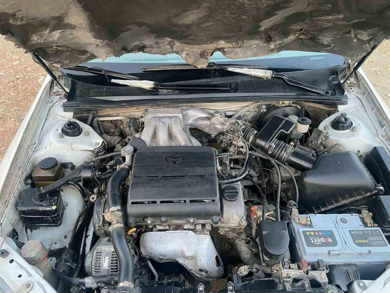 ئۆتۆمبێلی تایبەت

 Toyota

 Avalon 2000

 AVALON

تێبینی لەسەر کاڵا

سەرەتا بەناوی خوای گەورە
AVALON
مۆدێل کۆتای ٢٠٠٠
مواسەفات خلیجی نۆڕماڵ.
مەکینە و گێڕ بەشەرت.
تەبرید بەشەرت بەس خازی تیانییە.
کامل بۆیاخ لەسەر ساخی بێ دەعم لێدراو بەس بەشی لایتی پێشەوە سێ پەنجەی هەیە بێ ناوگرتن شایەنی باس نییە..
ئاڕمی سلێمانی بەشەرتی ئەوەی لە مرور ئەوەلیاتی هەبێت و تۆمار بێت..
٣ساڵە لای خۆمە..سەیارەی ما عرەزنیە.
سعری٥٠ گەڵاو معامەلە.....

  *********** السليمانية, العراق
