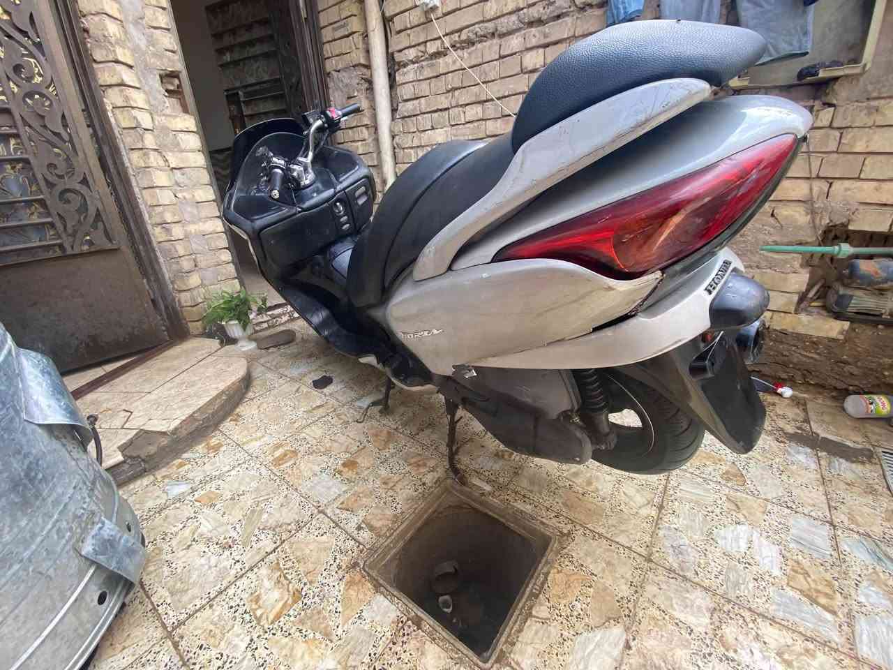 فورزه • 0.9 • شغالة