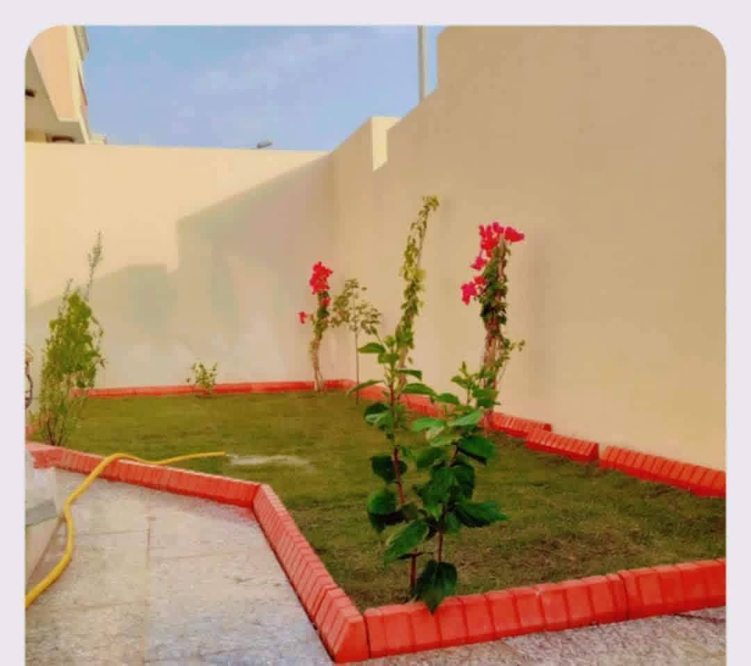 ديكور • ابو حسن • واتساب