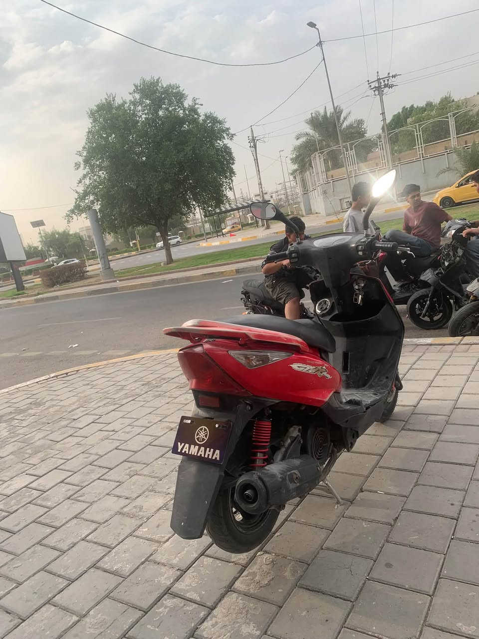 ثعلب • ١٤٠ • ناعمه