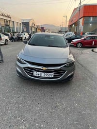 ماليبو • ٢٠٢٣ • بدون صبغ