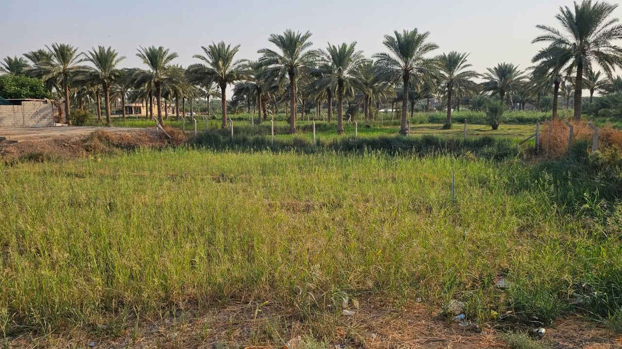 الزبيلية • ٤٨٠م • واجهة ١٦م