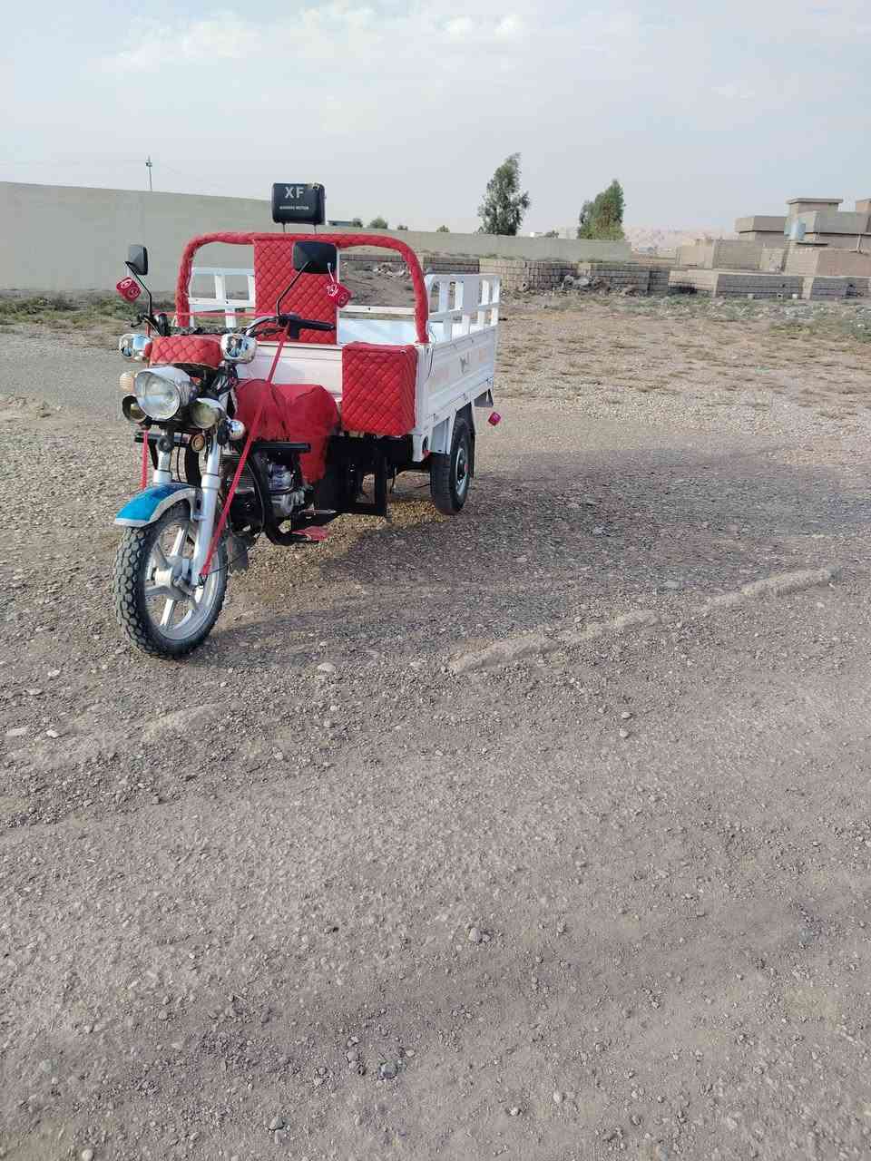 ستوته • موديل ٢١ • أوراق جنوبيه