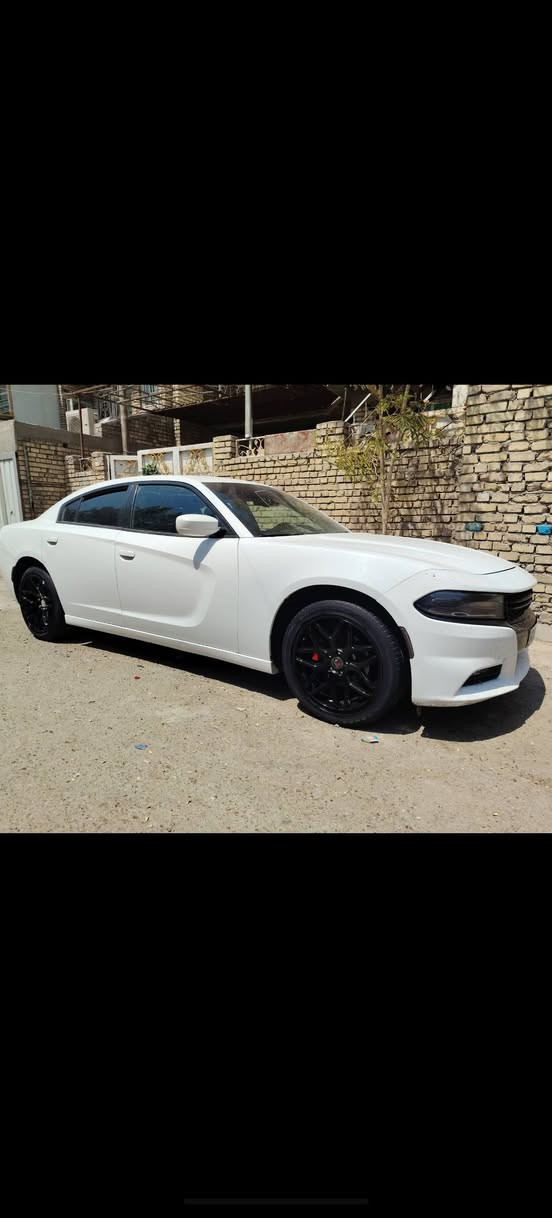 ويل ٢٠ مراوس شعندك نزل مكاني بغداد ***********

