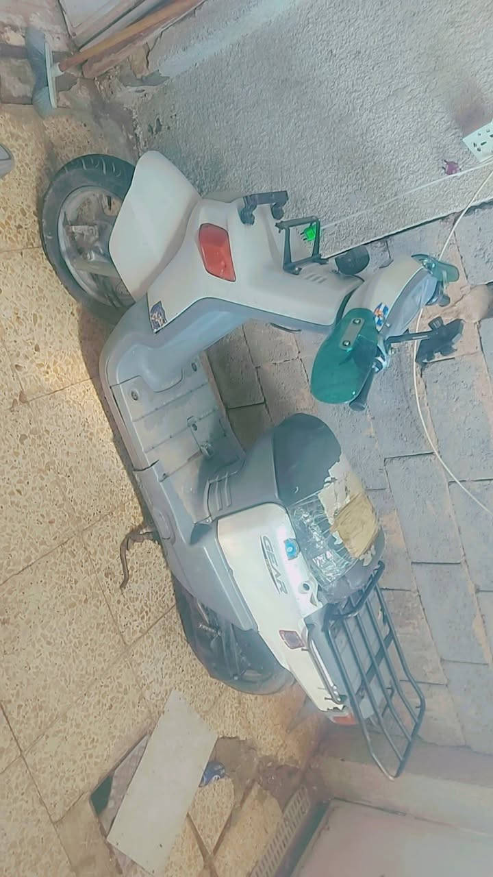 بيكم • مكفوله • سلف كهربا