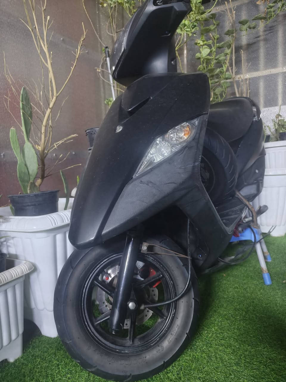 السلام عليكم شباب دراجة GTR  ثعلب
كاملة مكملة نقص بس مكينة 

شاصي كرزي بلادي 
ضفيرة بحالة الوكالة دبلات 
كفرات أسود طافي 
الدراجة متروسة براغي أي برغي بلادي ما بيهة 
بيهة ويالة مال جي تي آر 
تايرات الأمامي مترتMTRT
الخلفي MAXXlS مال سباق 
مكاني شارع فلسطين ول يدور طكة ناقص لا يجي 
***********
