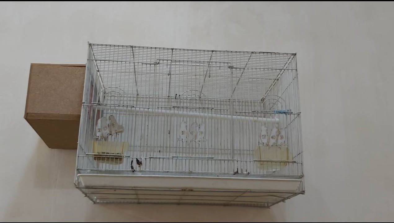 قفاصه حجم جبير ثنين واحد بيه خانه كلش نضيفات سعر خاص مكان كربلاء حي الوفاء
***********
