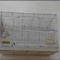 قفاصه • حجم جبير • كربلاء الوفاء