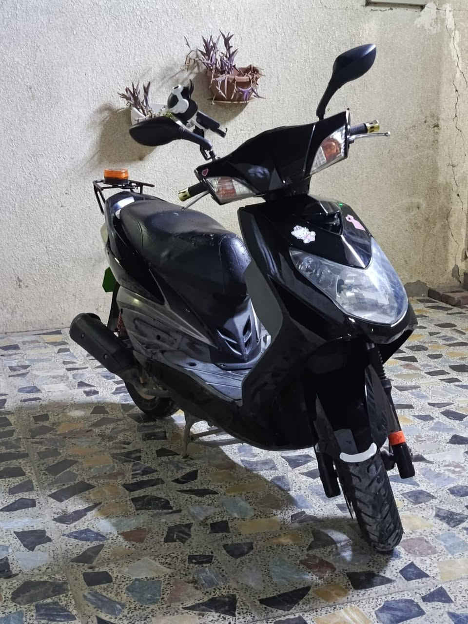 دراجة سكنس فحل مكفولة كفالة عامة  اوراق كاملة نكرة سلف وهندر محرك مكفول ناعم لا نضوح ولا تبخير كفراتها بلاديات كهربائيات كلها كاملة عداد شغال قفل جنطة واستيرن زوج تايرات جدد سعرها 800 وبيها مجال  مكاني الشعلة ***********
