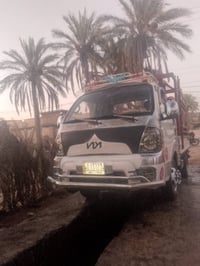كاي فحل • موديل ٢٠١٥ • مكفول