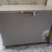 مجمده • نضيفه • دغاره
