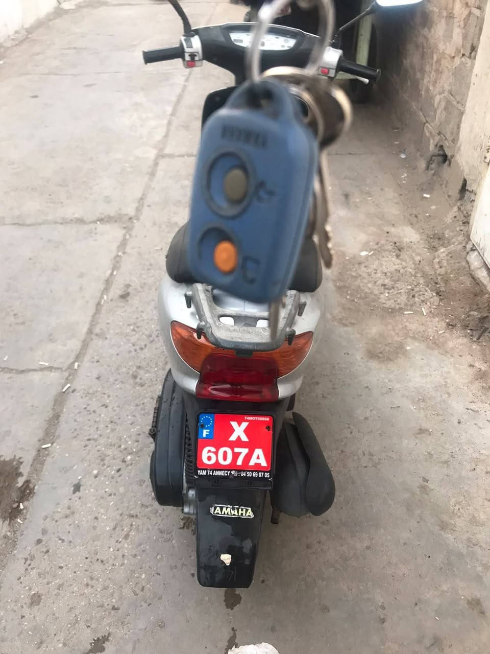 60 عصفوريه للبيع سعر 400 وبيها مجال
مكان بغداد 
تواصل ***********
