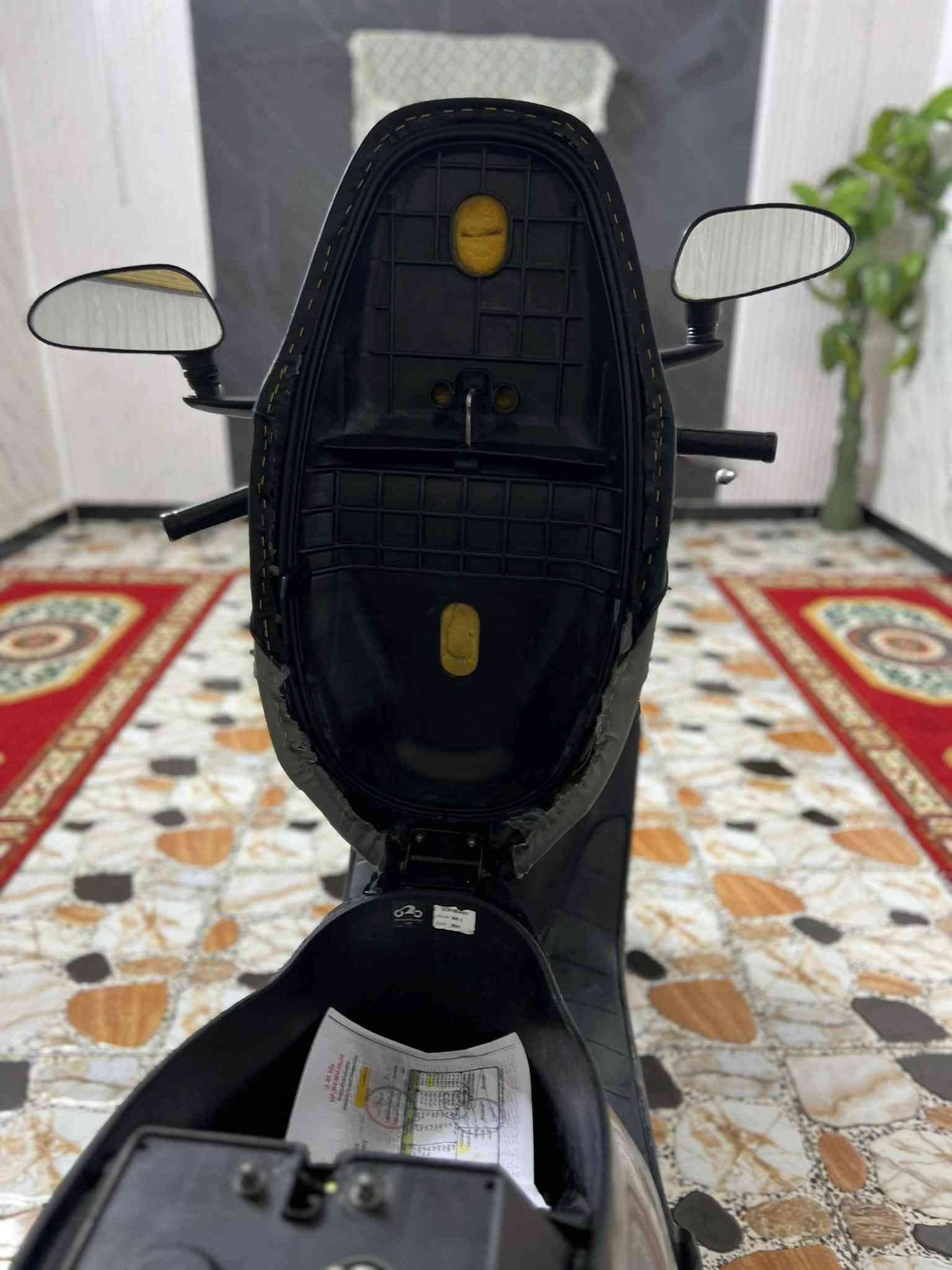 سبيسي • ياباني • مكفوله