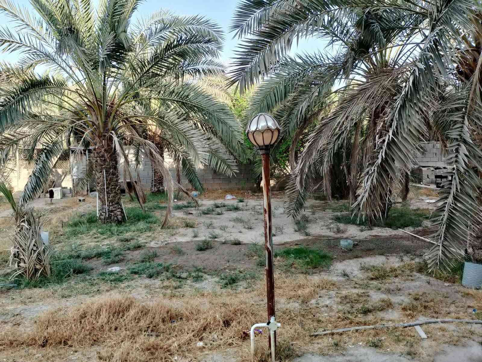 دار للبيع مساحه نص دونم بمهيجران 
نص دونم للبيع يعني 1250متر

 سهم بطابو 

بستان مع بيت طابقين 

واجهه 22 ونزال 50

مساحه بناء 400

طابق الاول 4غرف منام 

واستقبال وصاله ومطبح

 وصحيات بناء طابوك 2018

وطابق ثاني ثرمستون 

3غرف وصاله وصحيات 

بناء 2020

شارع 8متر

خلف بستان نهر

الموقع ابي الخصيب مهيجران جهه شط 

 شارع جبلي يبعد حوالي 400متر عن سايدين داخلي

السعر 750 وبي مجال  مع اثاث

تفاصيل اكثر اتصال برقم 

*********** سجاد
