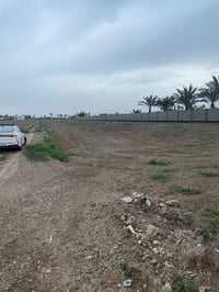 دونمين ونص طابو زراعي سند 25 فتح بيان في طابو ابو غريب  ببع من دونم فم...