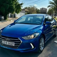 النترا ٢٠١٧ • وارد أمريكي • ٣ قطع صبغ