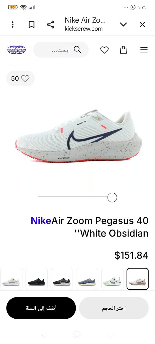 نايكي Pegasus 40 • مقاس 45 • فيتنامي