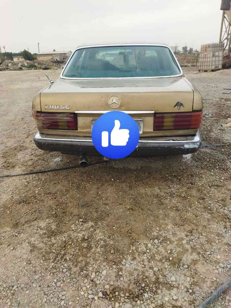 مرسيدس • موديل ١٩٨٤ • رقم نجف