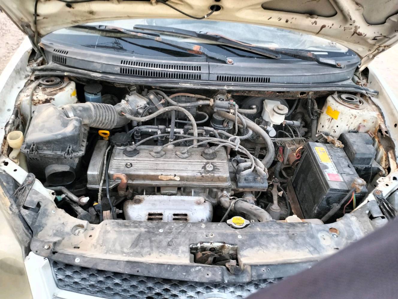 للبيع: جيلي سيدان موديل [2011]
​النوع: جيلي (Geely)
​الطراز: MK
​المحرك: 1.6 لتر، 4 سلندر
​ناقل الحركة: يدوي (مانيوال)
​اللون: أبيض
​اللوحة: بابل القاسم  جمعيه ( العراق)
​حالة السيارة:
السيارة بحالة ميكانيكية جيدة، تعمل وتسير بشكل نظامي. المحرك والجير بحالة ممتازة. السيارة بحاجة لبعض الاهتمام التجميلي البسيط (سمكرة وبويا وتنظيف داخلي) لتصبح بحالة مثالية.
​
​يوجد بعض الصدأ في الرفارف الخلفية كما هو معتاد في هذا الموديل.

كامل الاوراق اصوليه وكامله  وصاحب السياره من اهالي الديوانيه ويمكن التحويل بالاتصال مع صاحب السياره الاصلي ونطيك رقم المالك الاصلي بعد الشراء 

​السعر المطلوب:
25 ورقة 
السعر قابل للتفاوض للجادين بالمعقول.
​
للتواصل والاستفسار:
يرجى الاتصال على الرقم: [***********]
(متوفر أيضًا عبر واتساب)