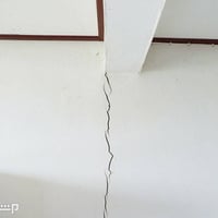 اسطه عبدالله • معالجة الفطر