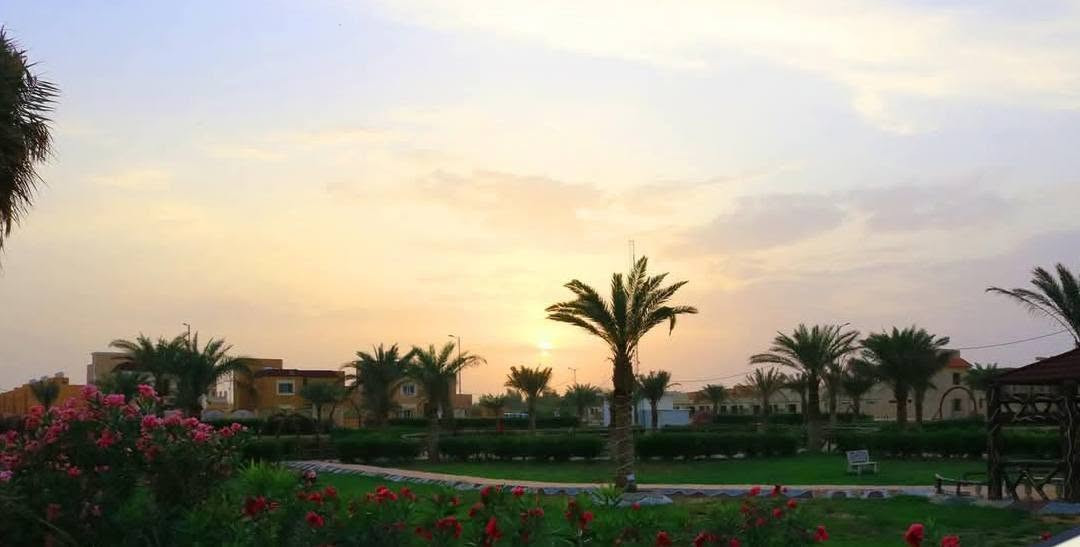 دار للبيع في مجمع السلام السكني/ مقابل جامعة الكفيل
اقرب مجمع الى مركز النجف ومرقد الامام علي (ع)
200م ، المرحلة الثالثة ، جاهز للسكن
يتكون الدار من: كراج سيارة ، حديقة امامية وخلفية ، مطبخ ، استقبال ، غرف نوم عدد 3 , صحيات عدد 3

موقع الدار مميز يبعد عن جامعة الكفيل مسافة دقيقتين وبالقرب من الحديقة العامة للمجمع

المبلغ المطلوب نقد 105 مليون وبي مجال 
الباقي من القرض يسدد شهريا 644 الف (بدون كفيل)

للاستفسار: *********** او على الخاص
