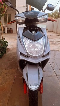 سكنس • جديدة • من المعرض