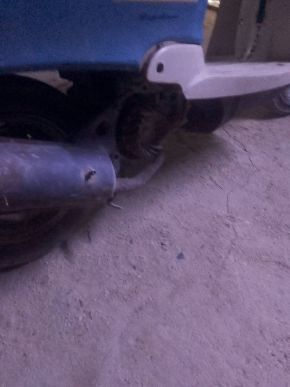 جراجه لبيع شوفت عينك رادله شوي ترتيبات شغال مشيه خير الله لبكاني بغداد معامل شاعوره سعر 175. ***********
