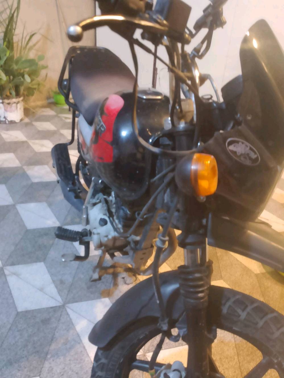 بوكسر • جبلي • ٢٠٢١