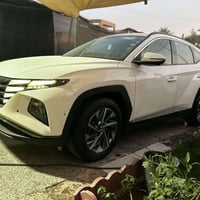 توسان خليجي • ٢٠٢١ • رقم اربيل